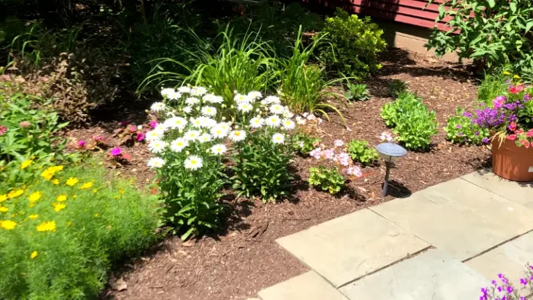 Why You Should Add Fresh Mulch to Your Landscape & Garden Beds