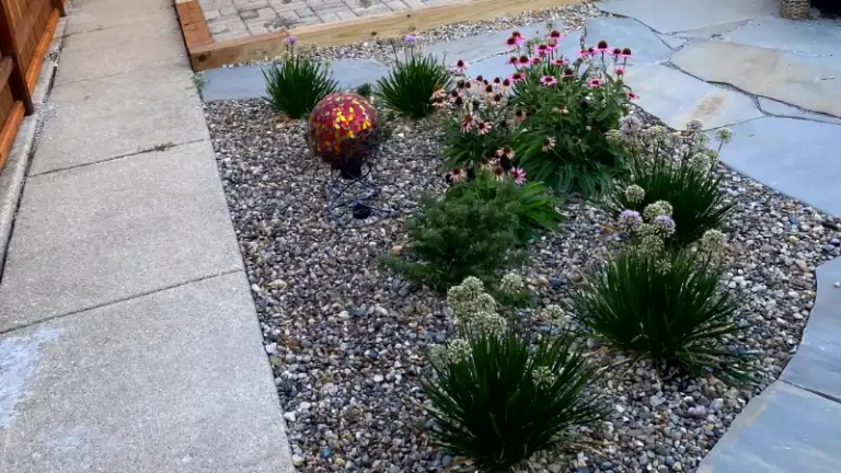 Drought Tolerant Landscaping Or Xeriscaping